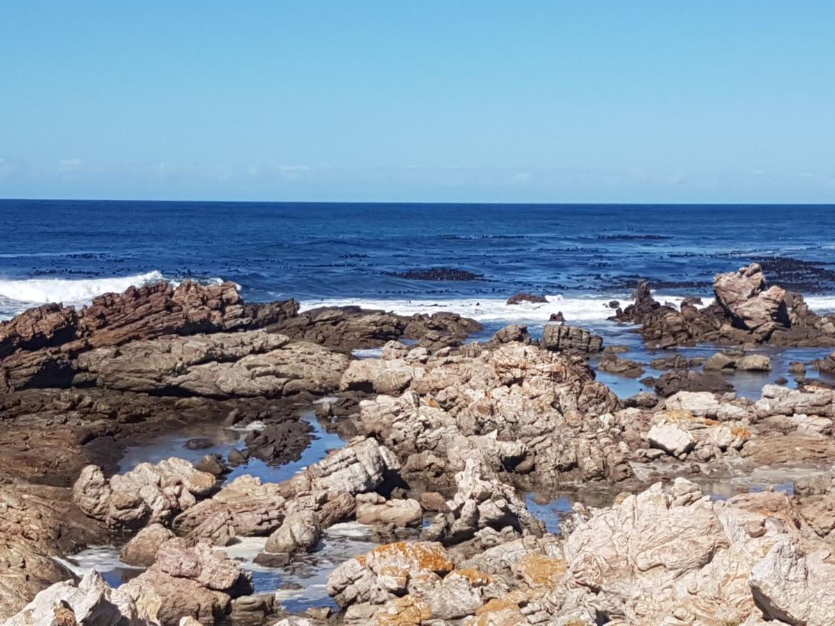 Corban Cottage Hermanus Ngoại thất bức ảnh